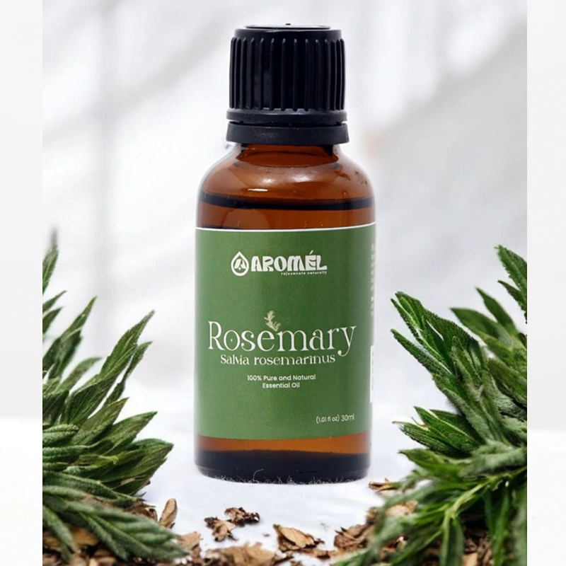 Rosemary Essential Oil - Image 4
