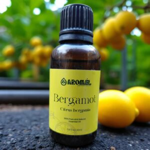 BeautyPlus_20250621185451960_save (3)